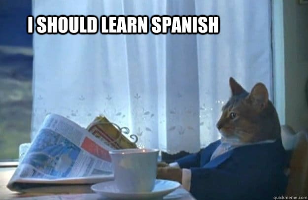 How to Learn Spanish Vocabulary with Reddit, Memes, and More