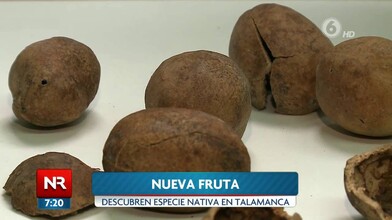 New Fruit Discovered in Costa Rica
