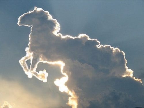 Horse_clouds-e1529758086111.jpg