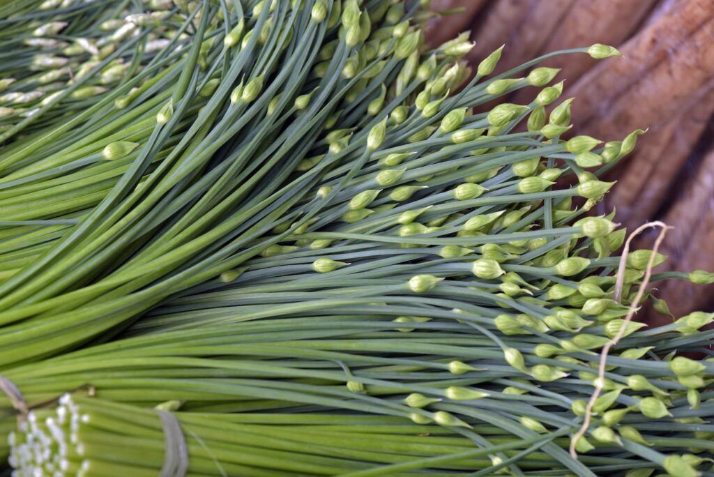 34 Vegetables in Chinese, Plus Bonus Phrases and Vegetarian Dishes FluentU Mandarin Chinese