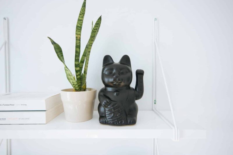 An all-black lucky cat beside a house plant on a white background.