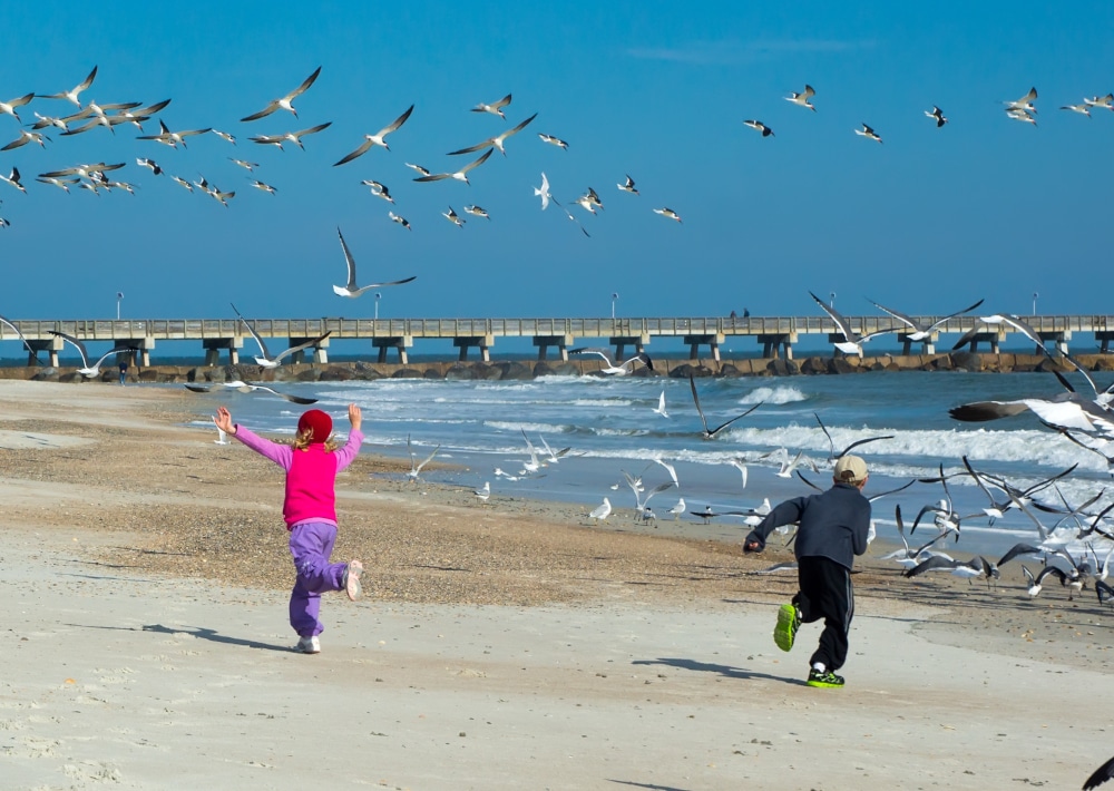 two children running on the beach chasing lots of birds