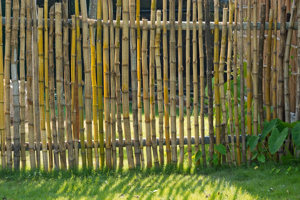 fence made of bamboo poles