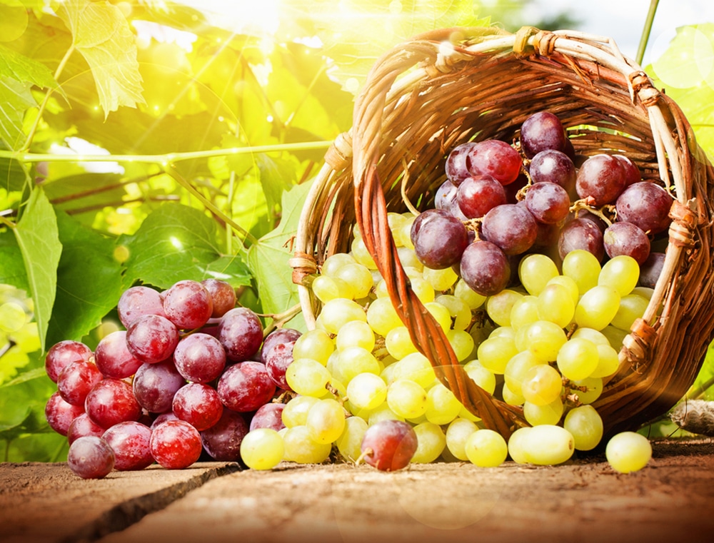 baskets of green and purple grapes outside in sunlight