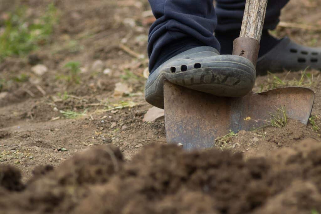 person-digging-soil-with-shoe-on-top-of-spade