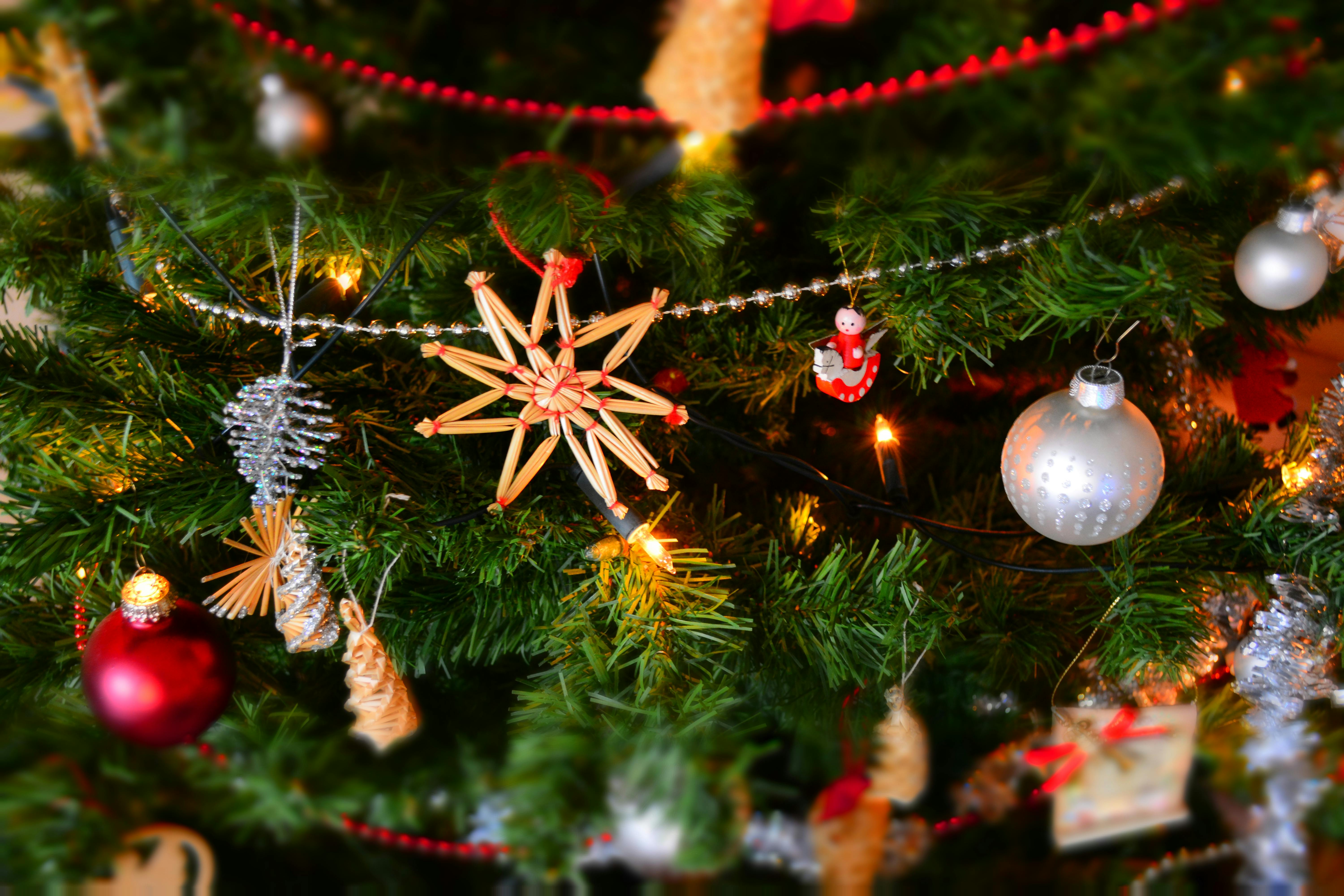 Ornaments hanging on a tree