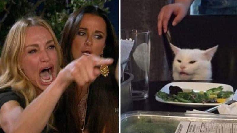 Woman yelling at a cat