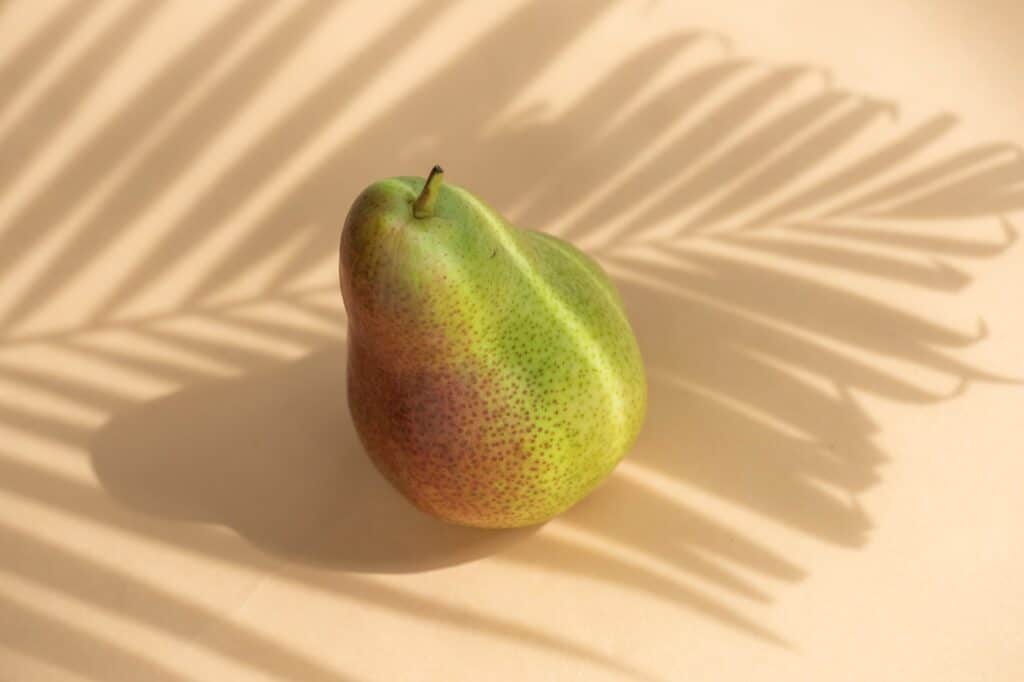 pear in the shade.