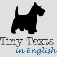 tiny texts logo