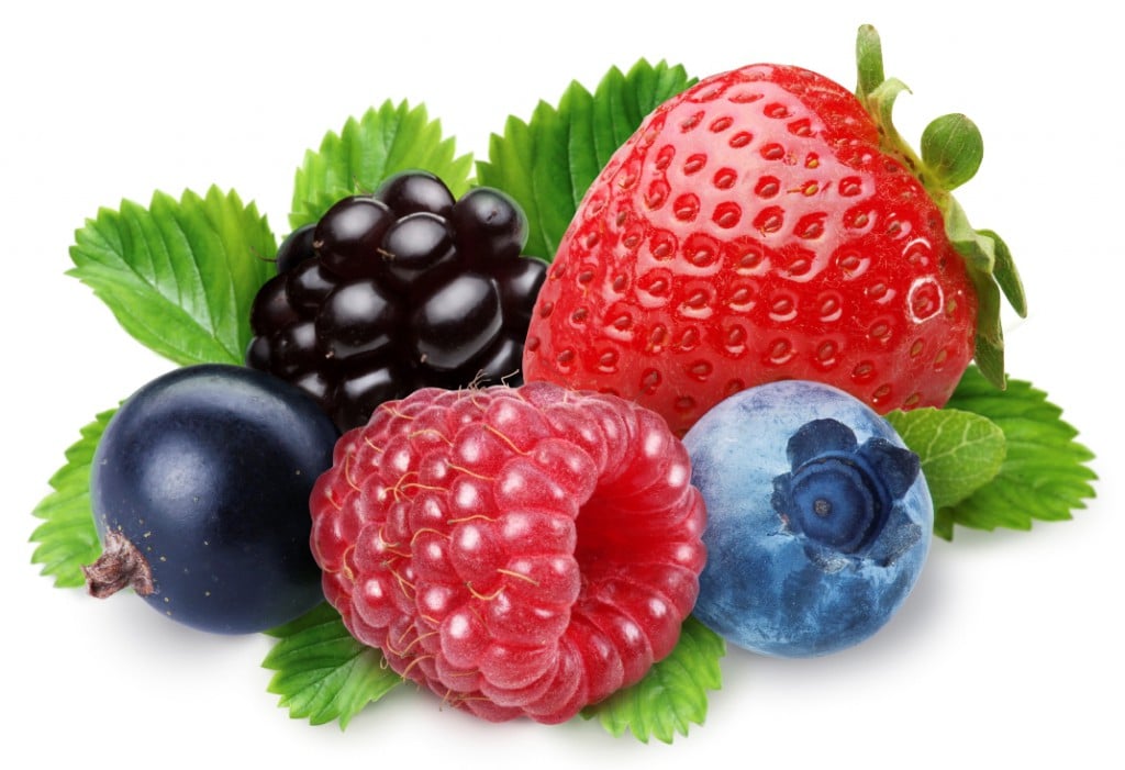 essential summer vocabulary esl berries