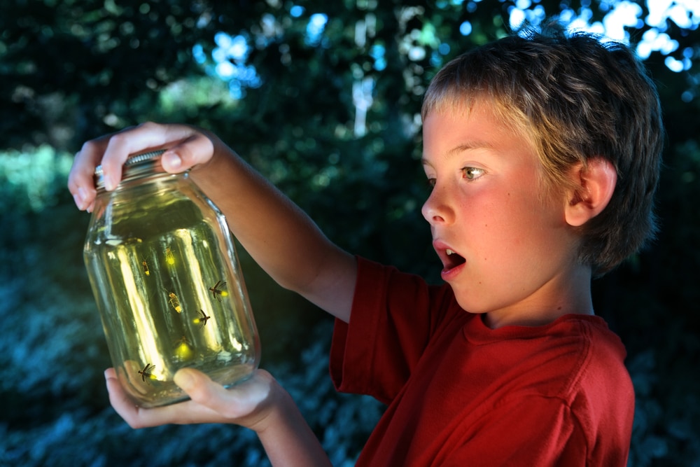essential summer vocabulary esl fireflies