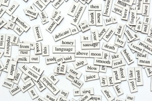 Assorted Magnetic Words