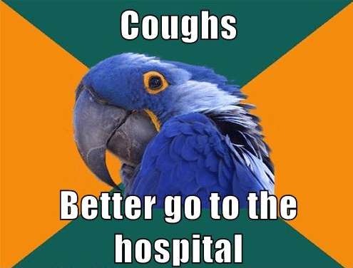 paranoid-parrot-meme-coughs-better-go-to-the-hospital