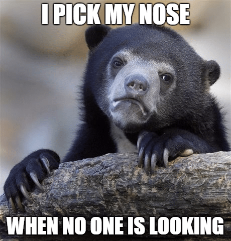 confession-bear-meme-i-pick-my-nose-when-no-one-else-is-looking