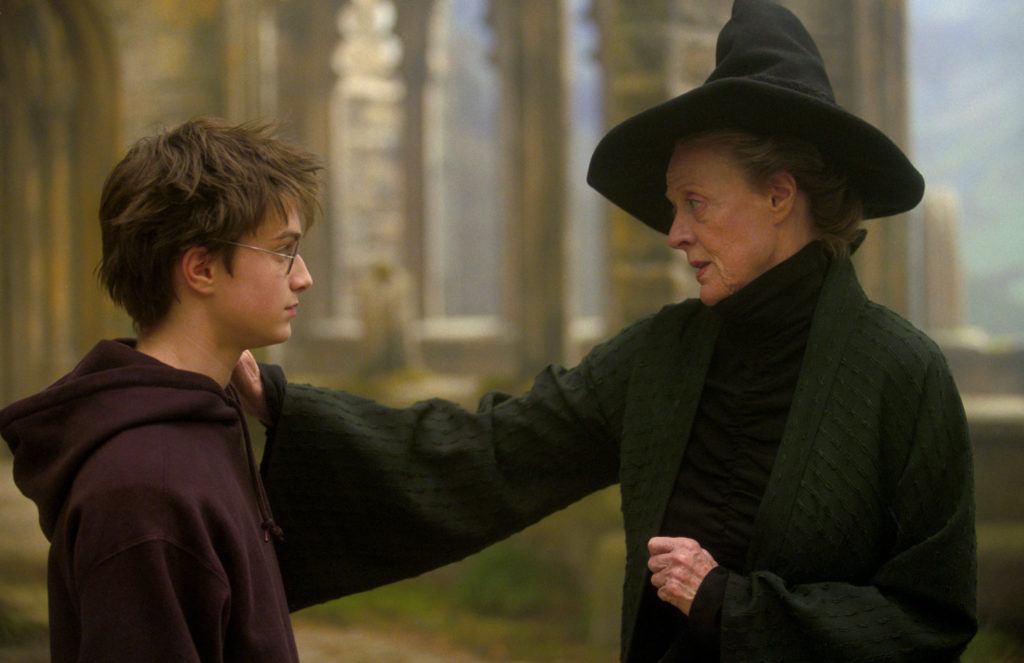 Harry Potter and Professor McGonagall having a conversation