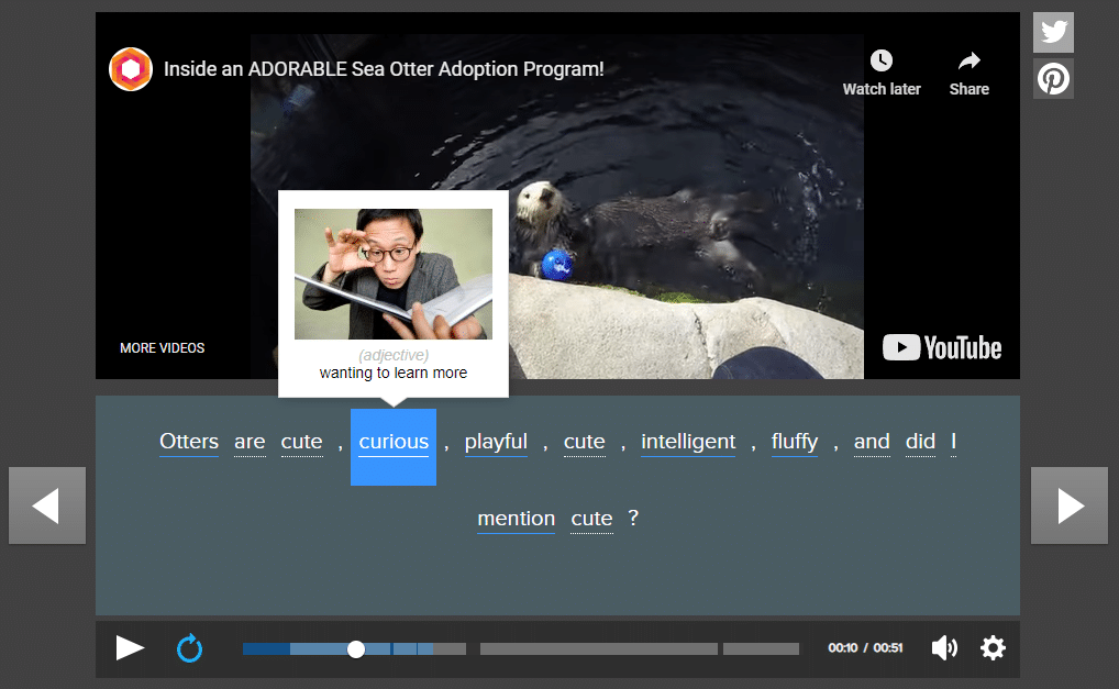 fluentu video screenshot curious otters