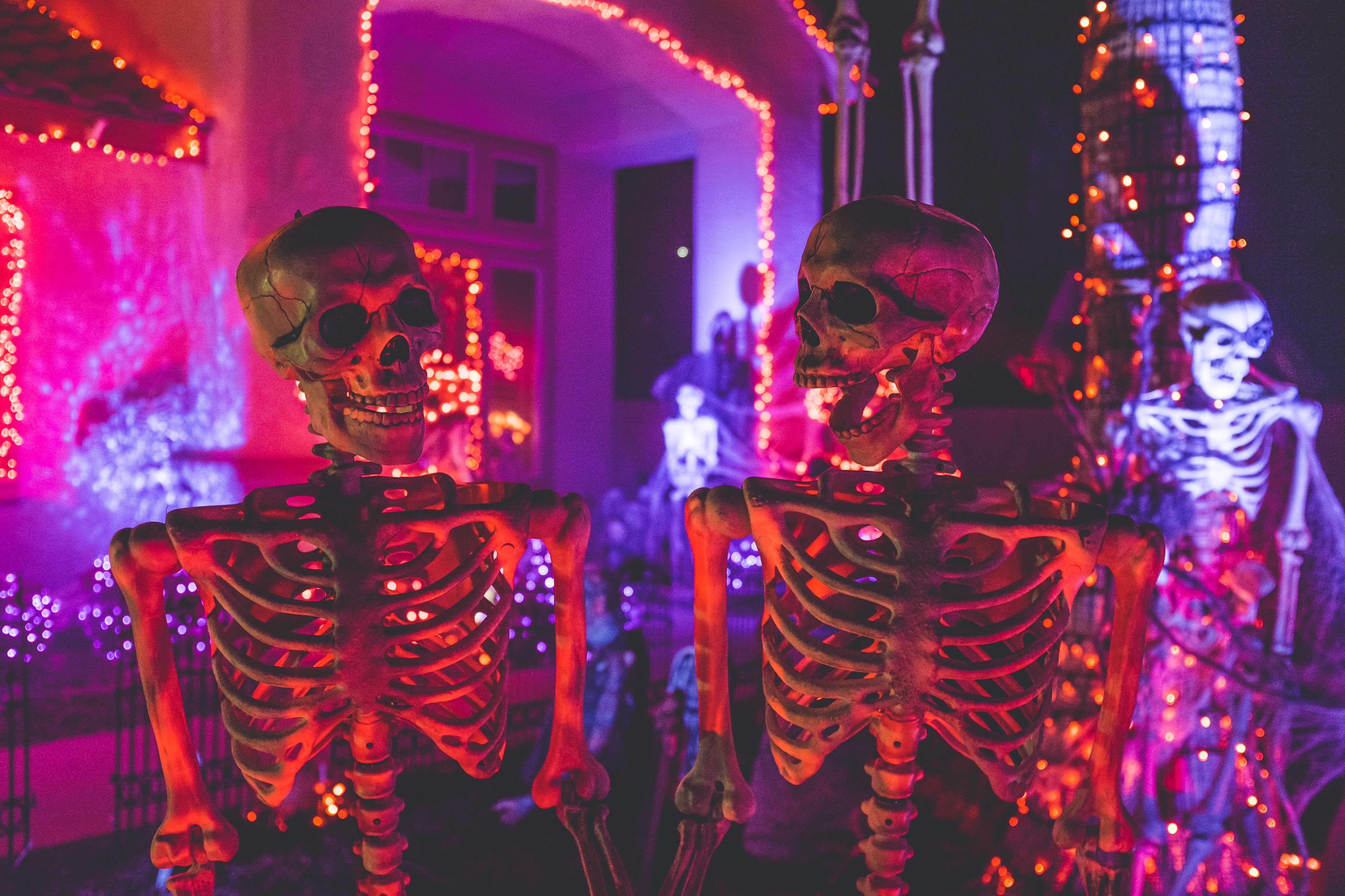 Skeleton decorations on Halloween