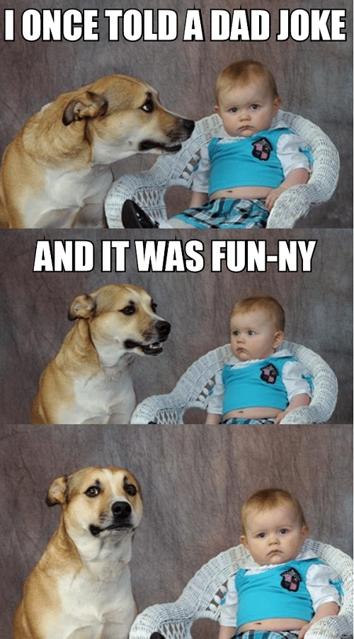 dad-joke-dog-baby-meme-i-once-told-a-dad-joke-and-it-was-fun-ny