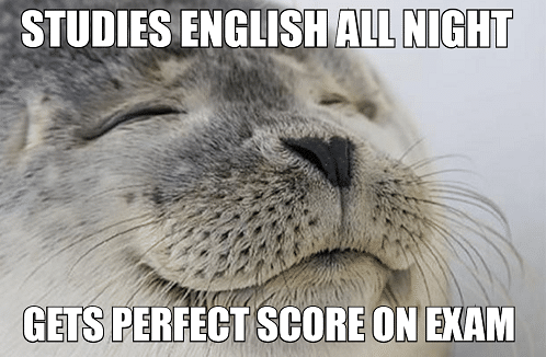 satisfied-seal-meme-studies-english-all-night-gets-perfect-score-on-exam