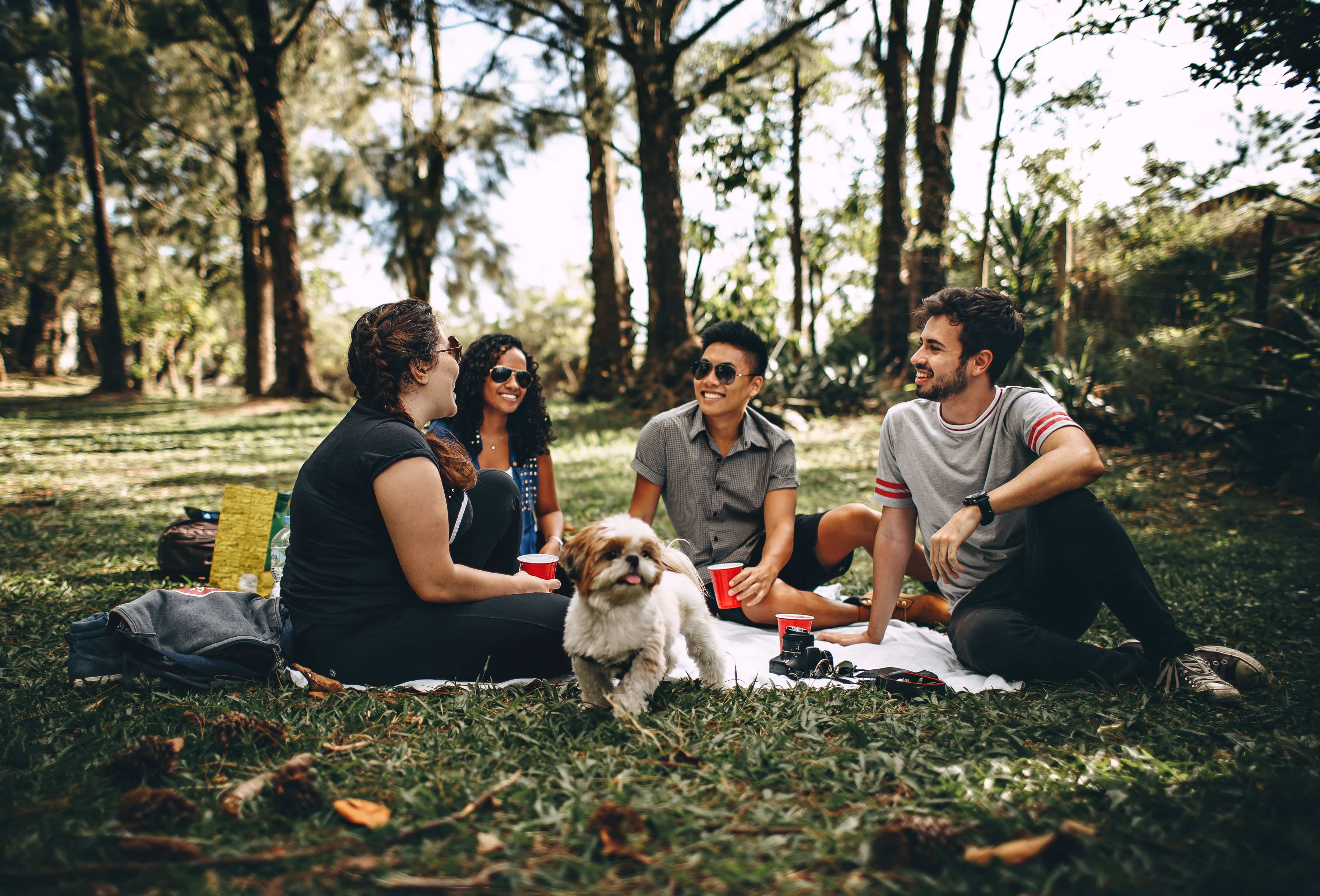 A group of friends has a picnic in a park
