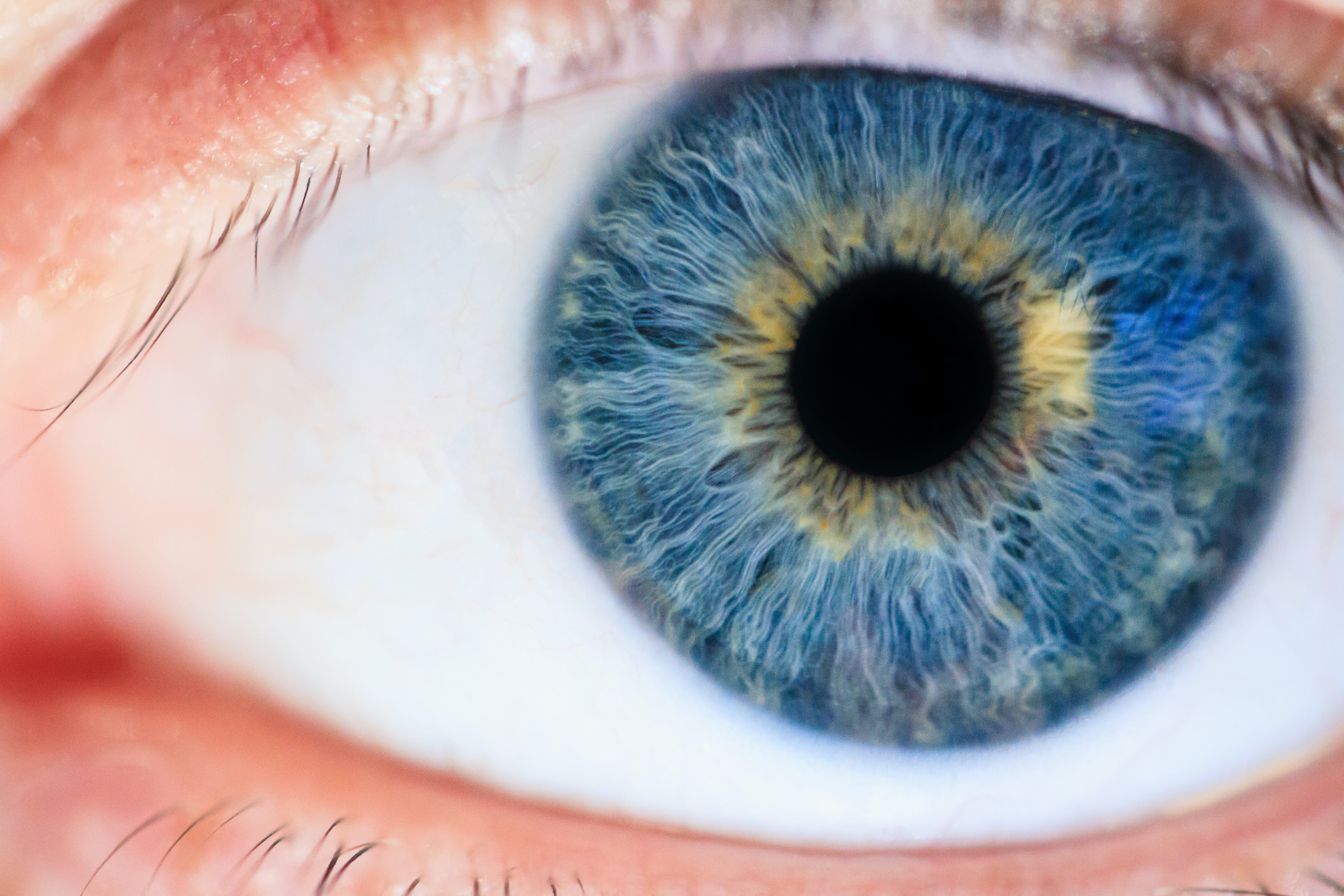 A close-up of a blue eye