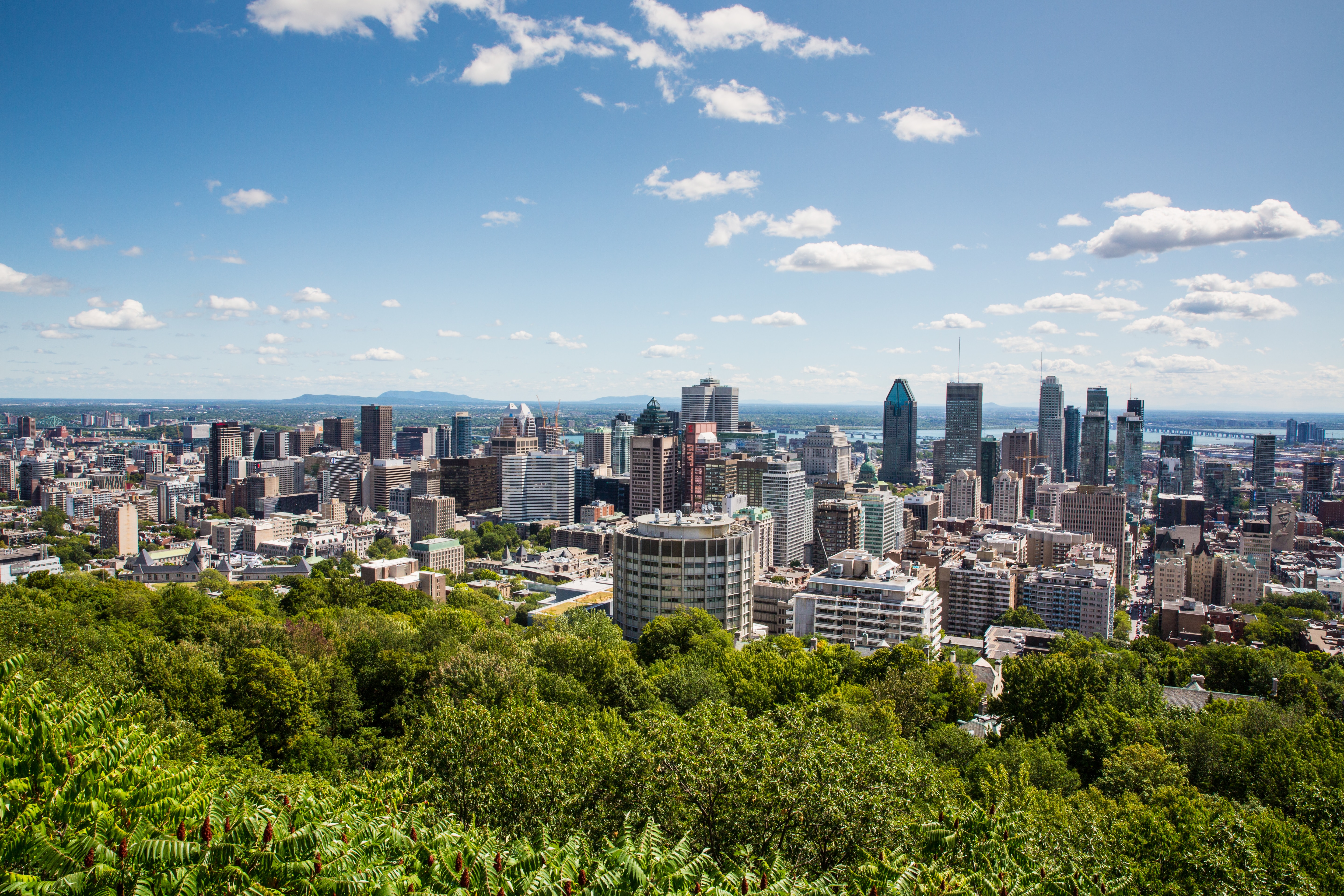 The skyline of Montreal Canada