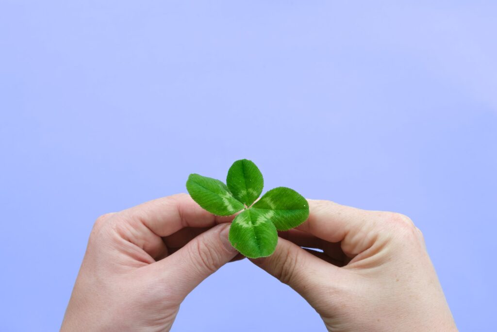 two-hands-holding-one-four-leaf-clover-against-lilac-color-background