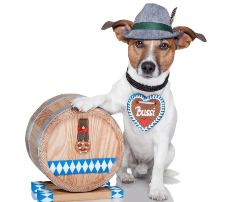 Dog in hat with hand on beer barrel
