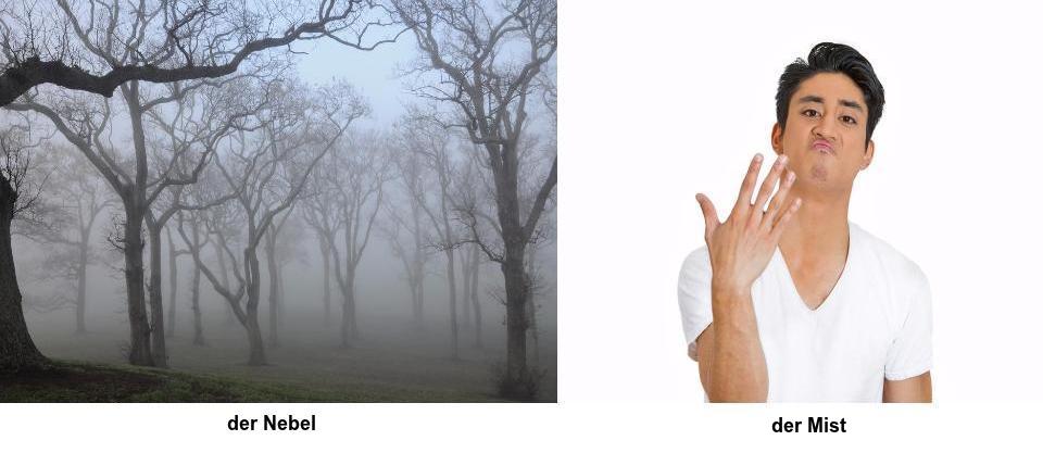 false-friends-english-german-mist-in-a-forest-on-the-left-and-man-holding-his-hand-up-to-say-rubbish-on-the-right