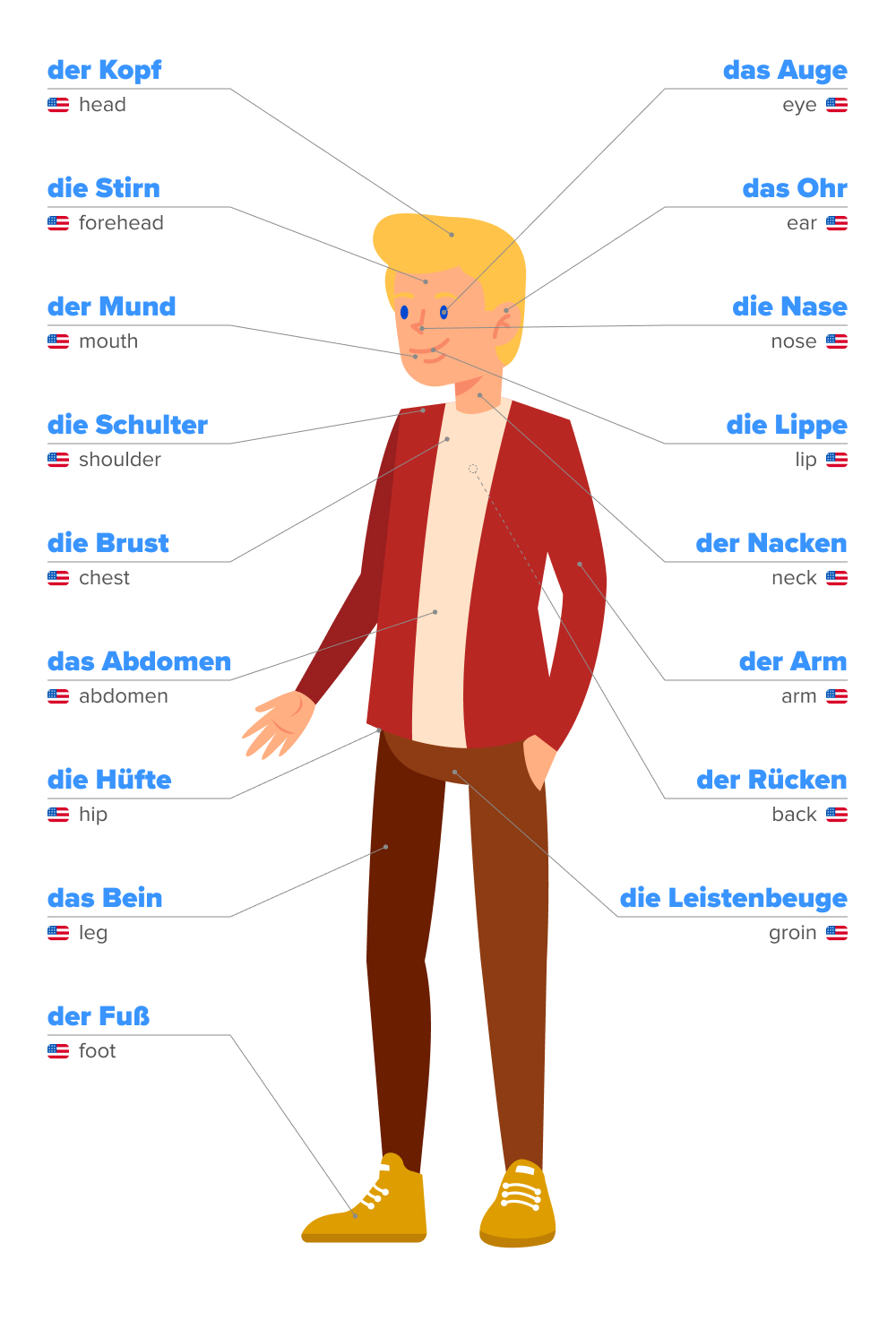 Ultimate List of Body Parts in German: From Your Head to Your Toes! |  FluentU German