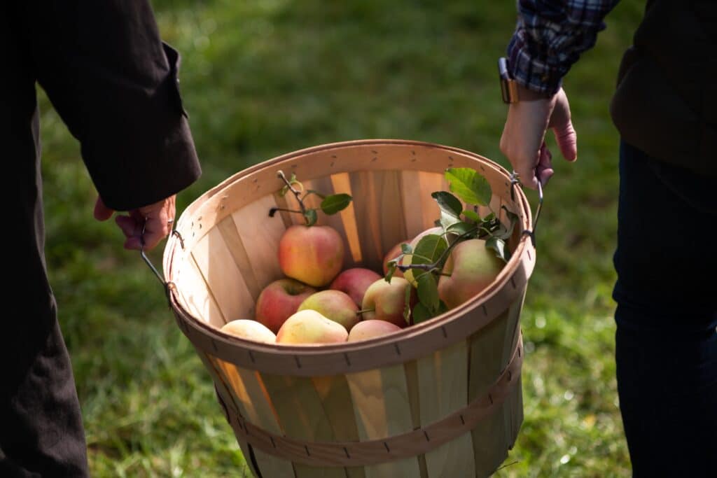 fruit-in-german-apples-fruit-basket