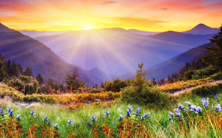 green-hills-covered-in-flowers-with-a-sunrise-in-the-distance