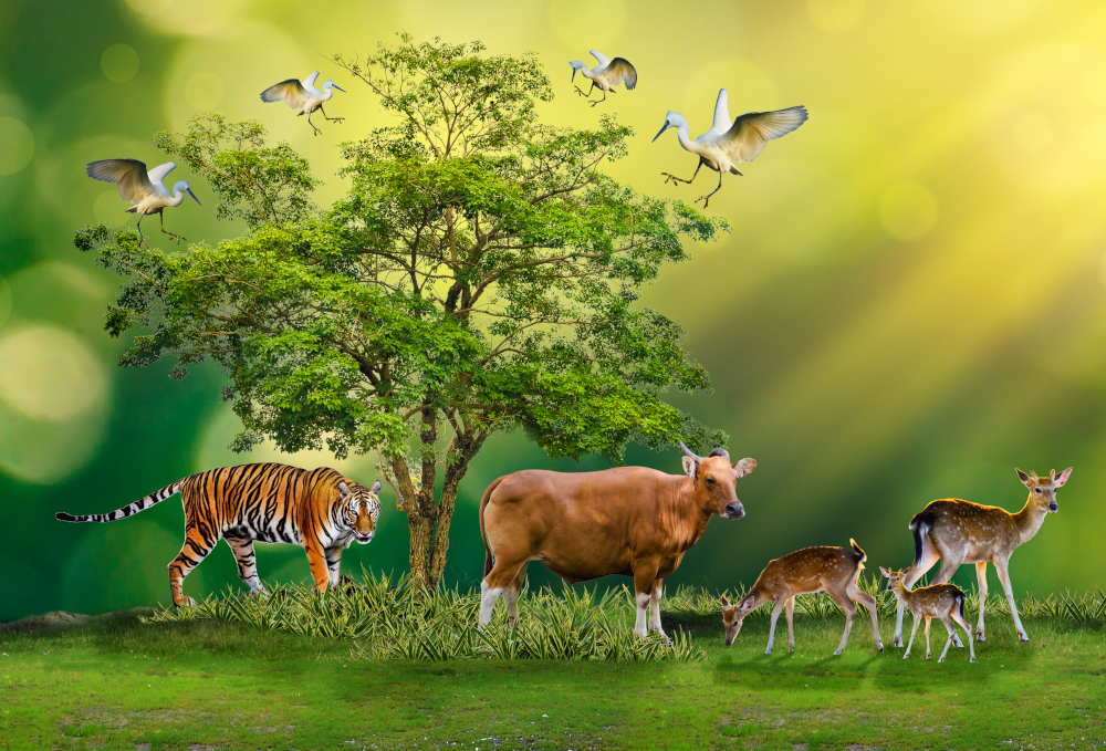 Composite art of several animals standing around a tree, including cranes, a tiger, a bull, and a family of deer.