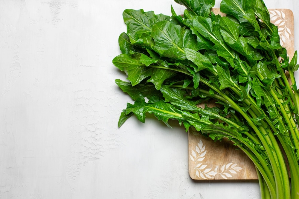 Chicory,Greens,,Fresh,Leaves,Of,Chicories,On,White,Table,,Ready