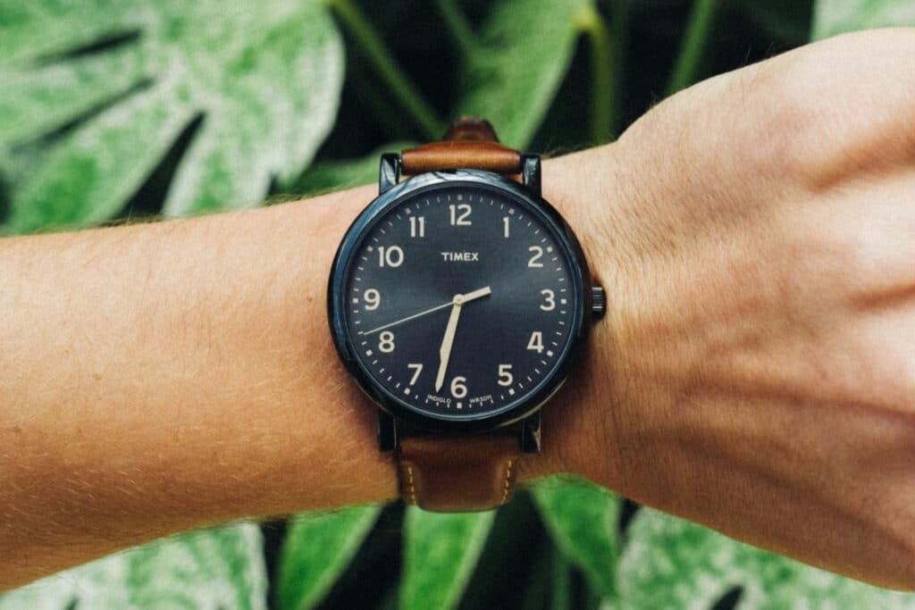 Wrist with a watch on in front of leaves