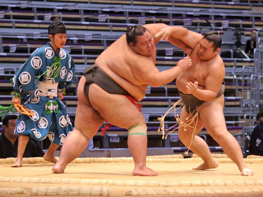 japanese-sumo-wrestling-match