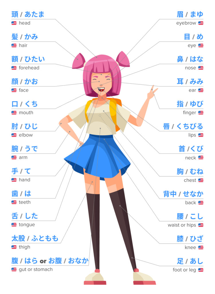 body parts in japanese infographic