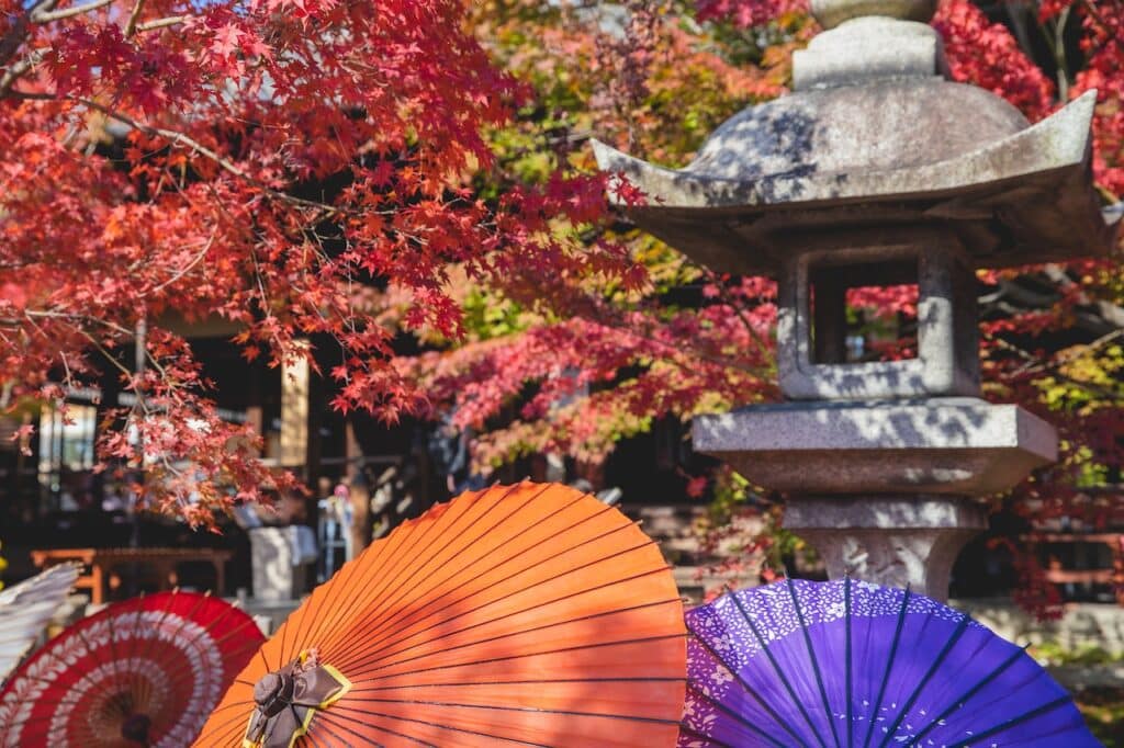 autumn garden in japan with colorful umbrellas