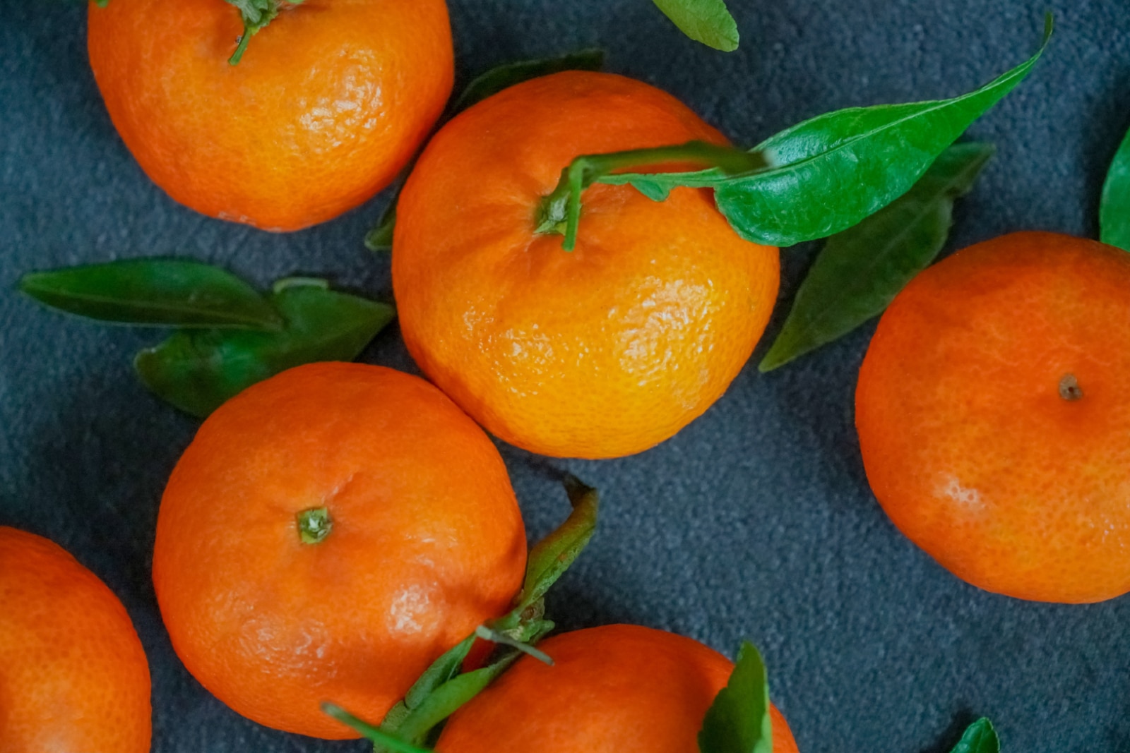 Group of oranges on a gray background