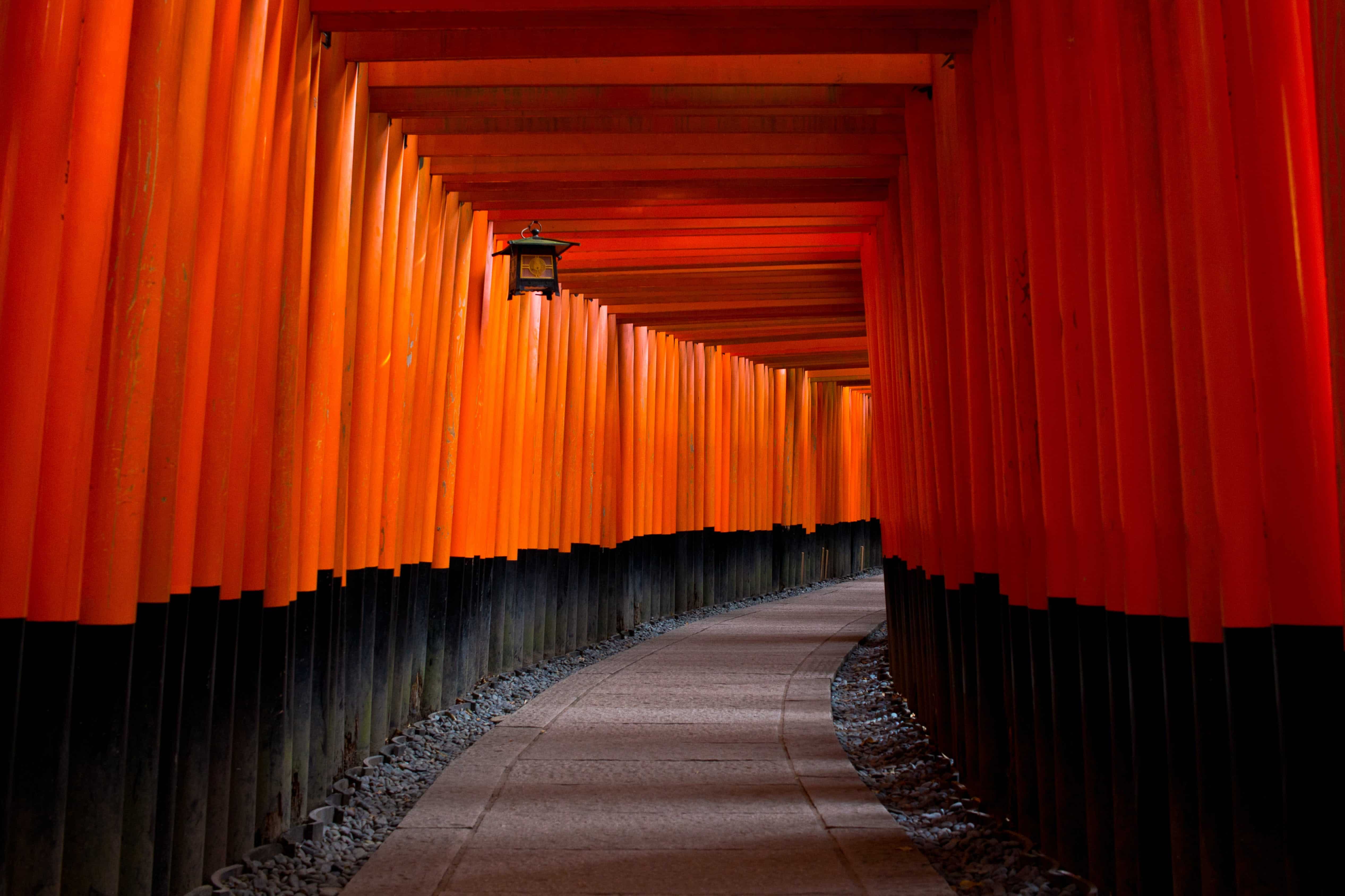 A series of bright orange gates leads up to a Japanese Buddhist temple