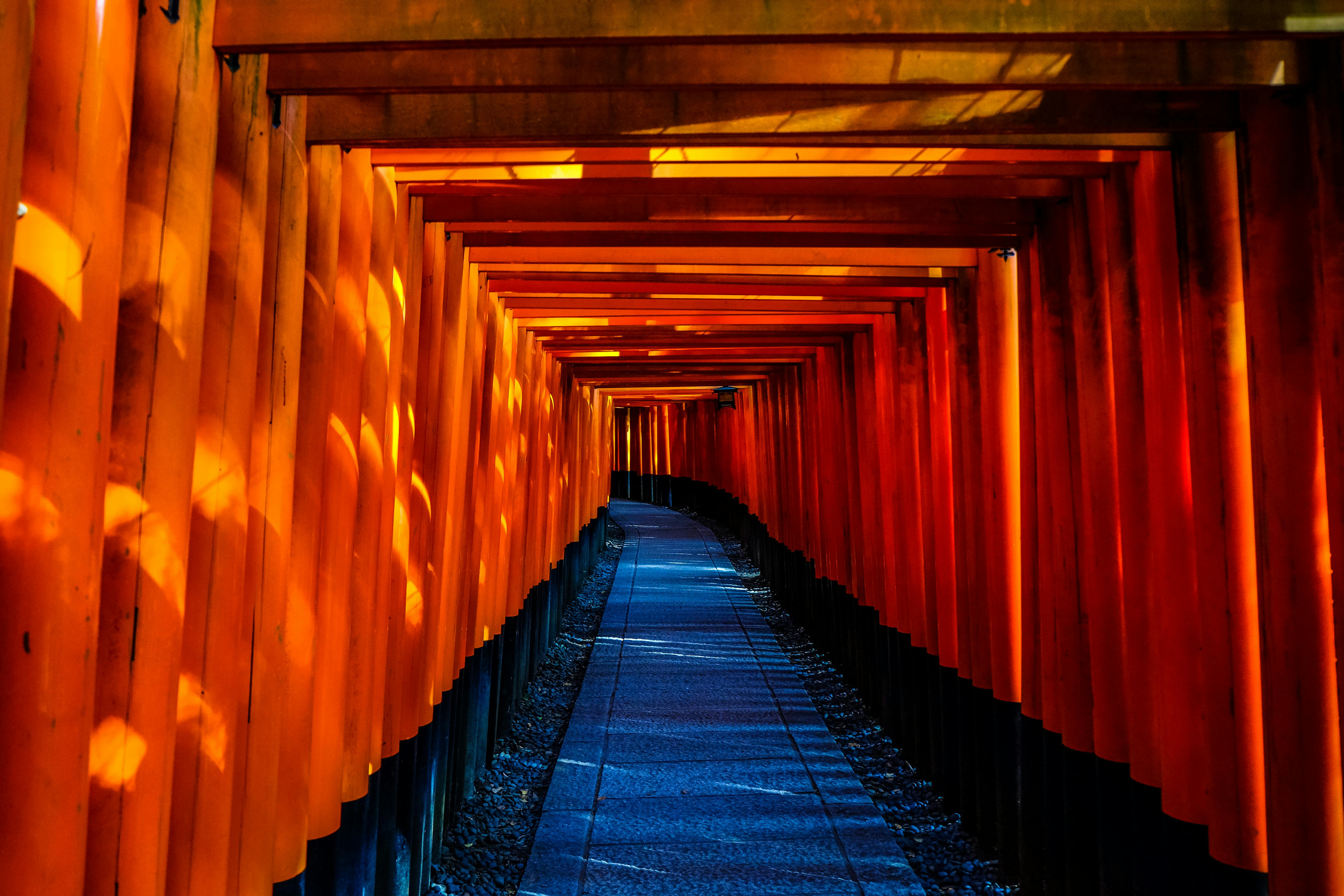 Bright orange gates at a Japanese temple