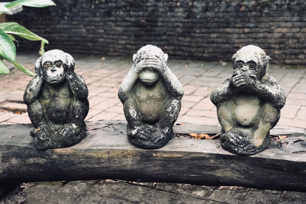 10 Powerful Portuguese Sayings to Send Each Monkey to Its Own Branch |  FluentU Portuguese
