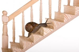 Snail on stairs