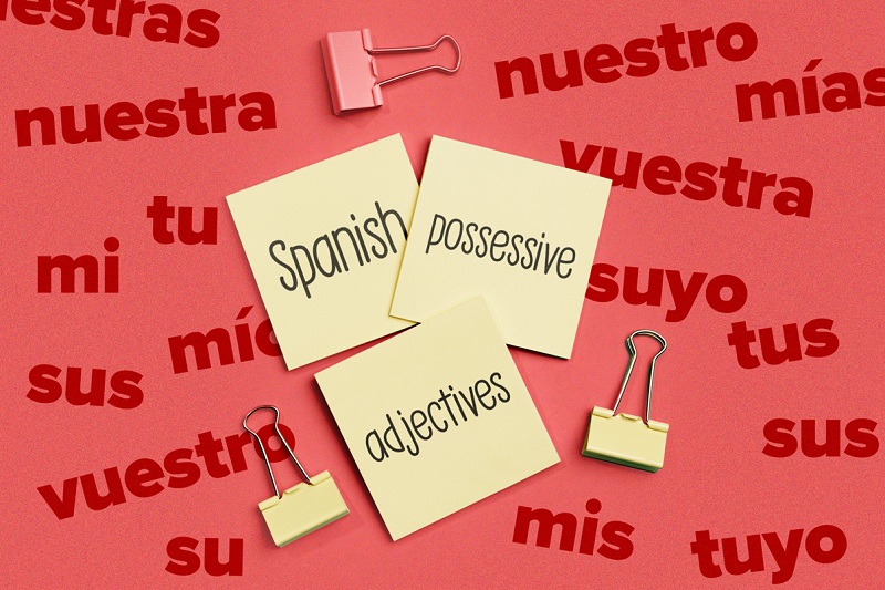 spanish possessive adjectives