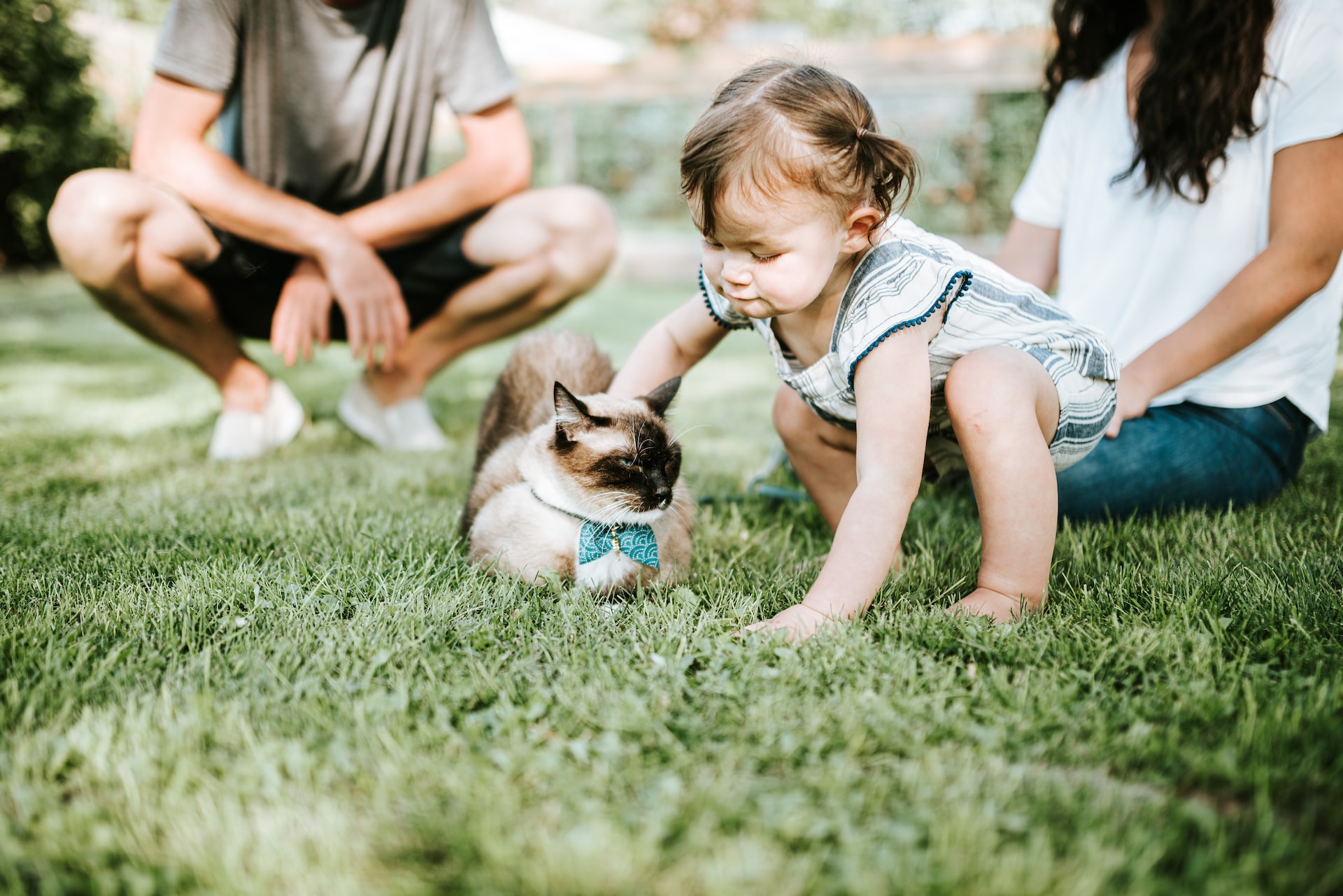 little-girl-petting-a-cat-in-a-garden