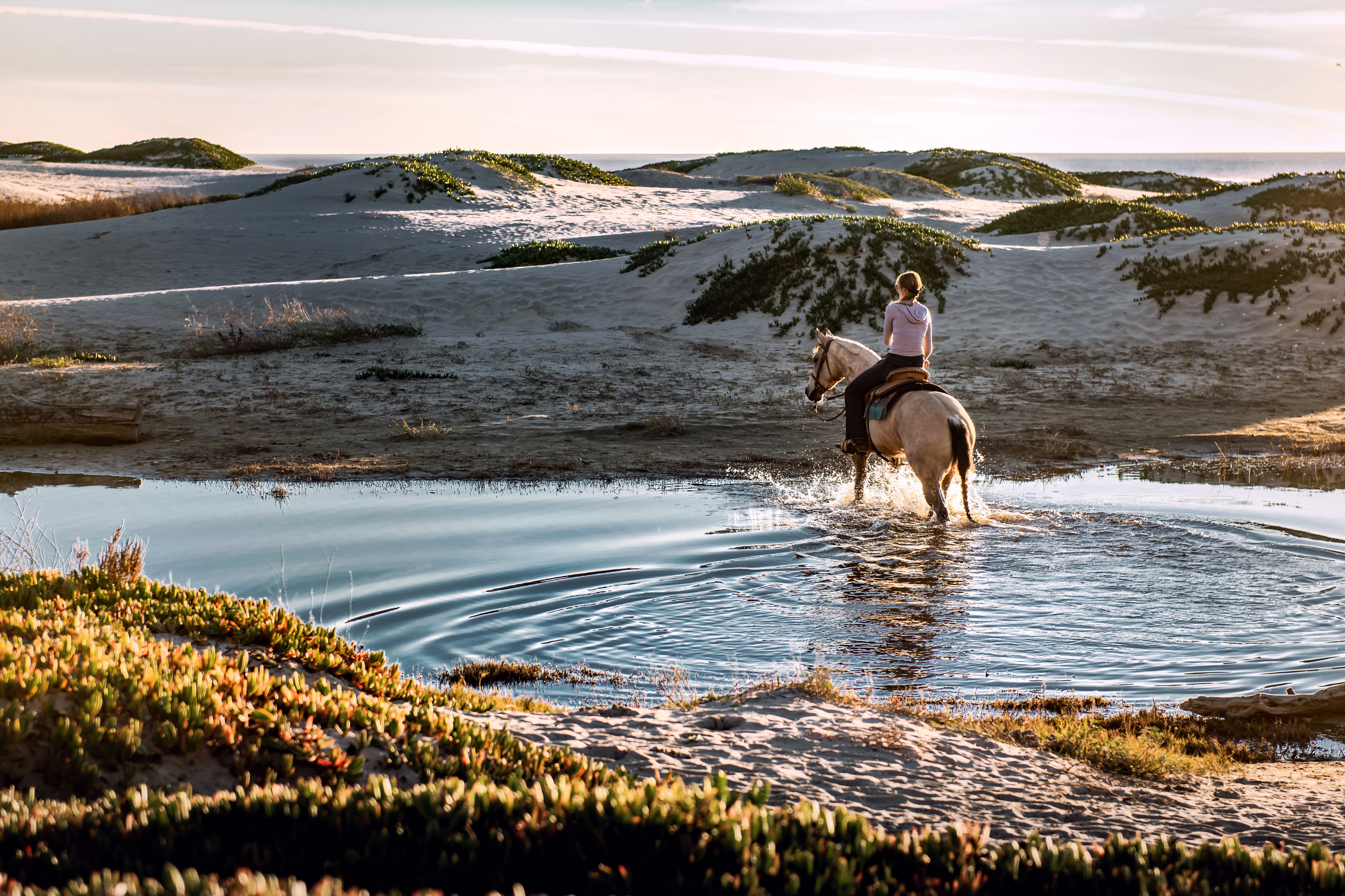 woman riding a white horse in water