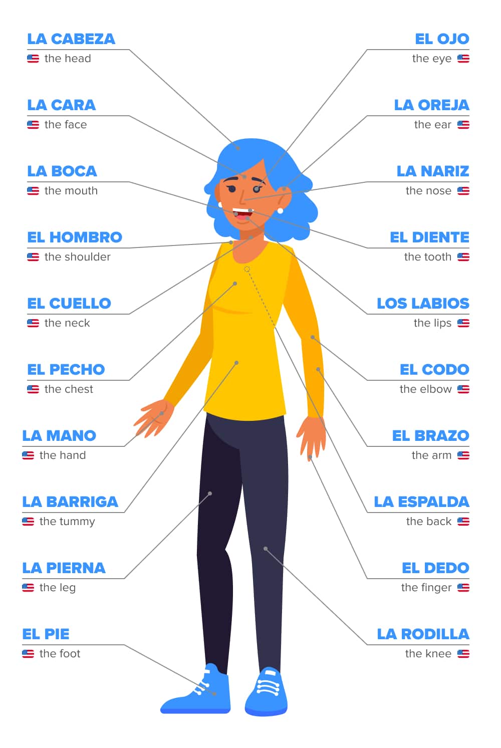 Body Parts in Spanish: 70+ Important Vocabulary Words Plus Helpful ...