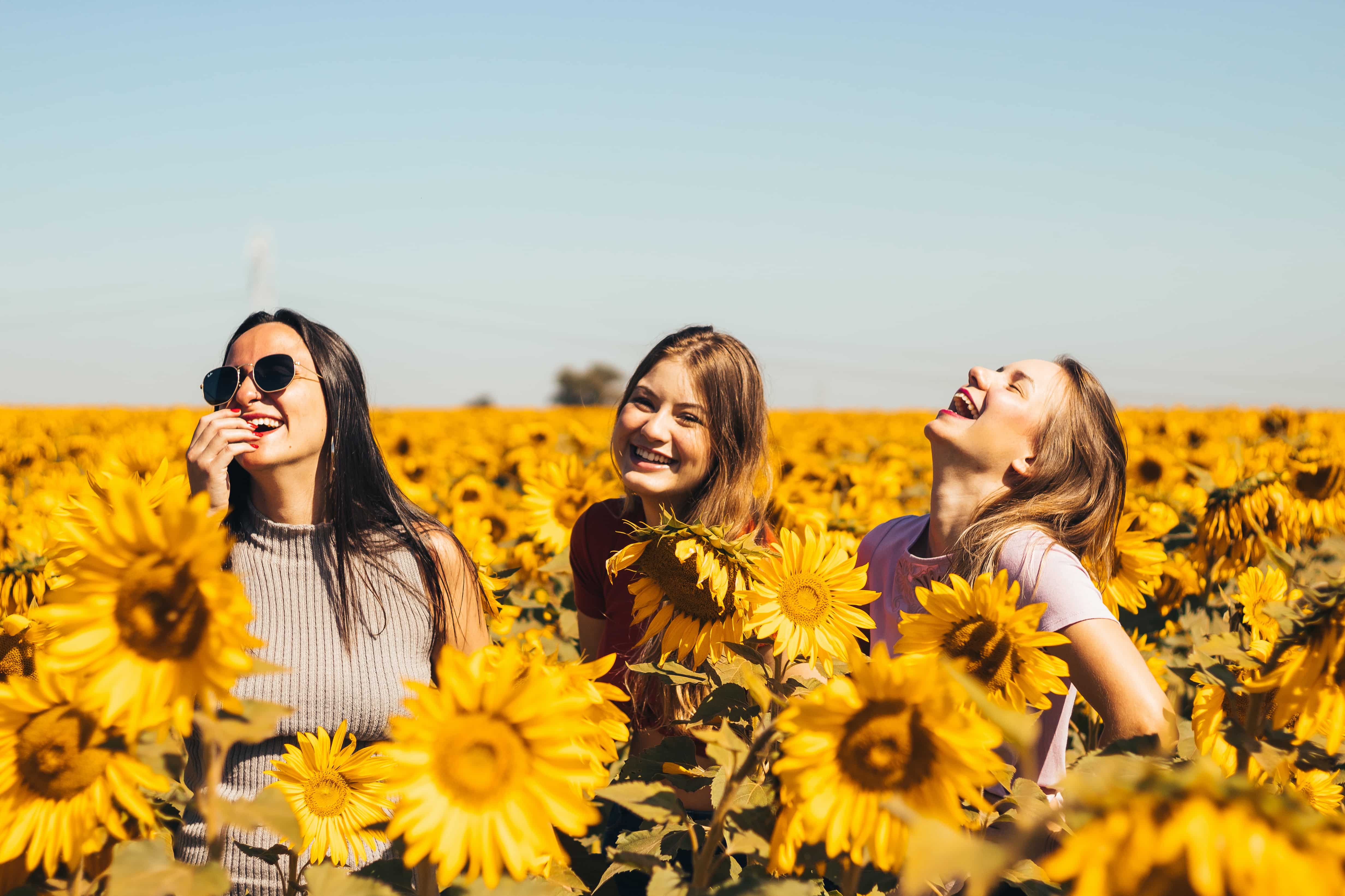 Three happy women in a sunflower field