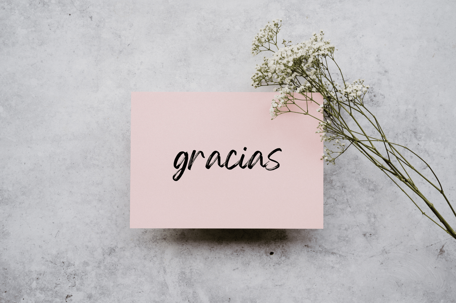 Thank You in Spanish: 30 Methods to Categorical Your Gratitude [With Audio]