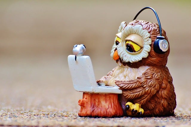 owl-headphones-computer